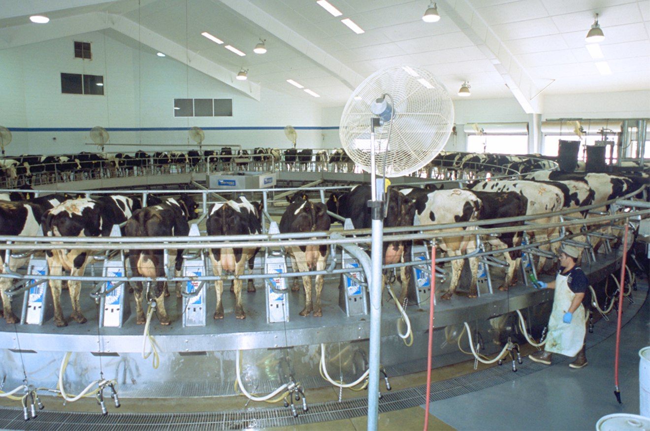 Dairy Projects Summit Livestock